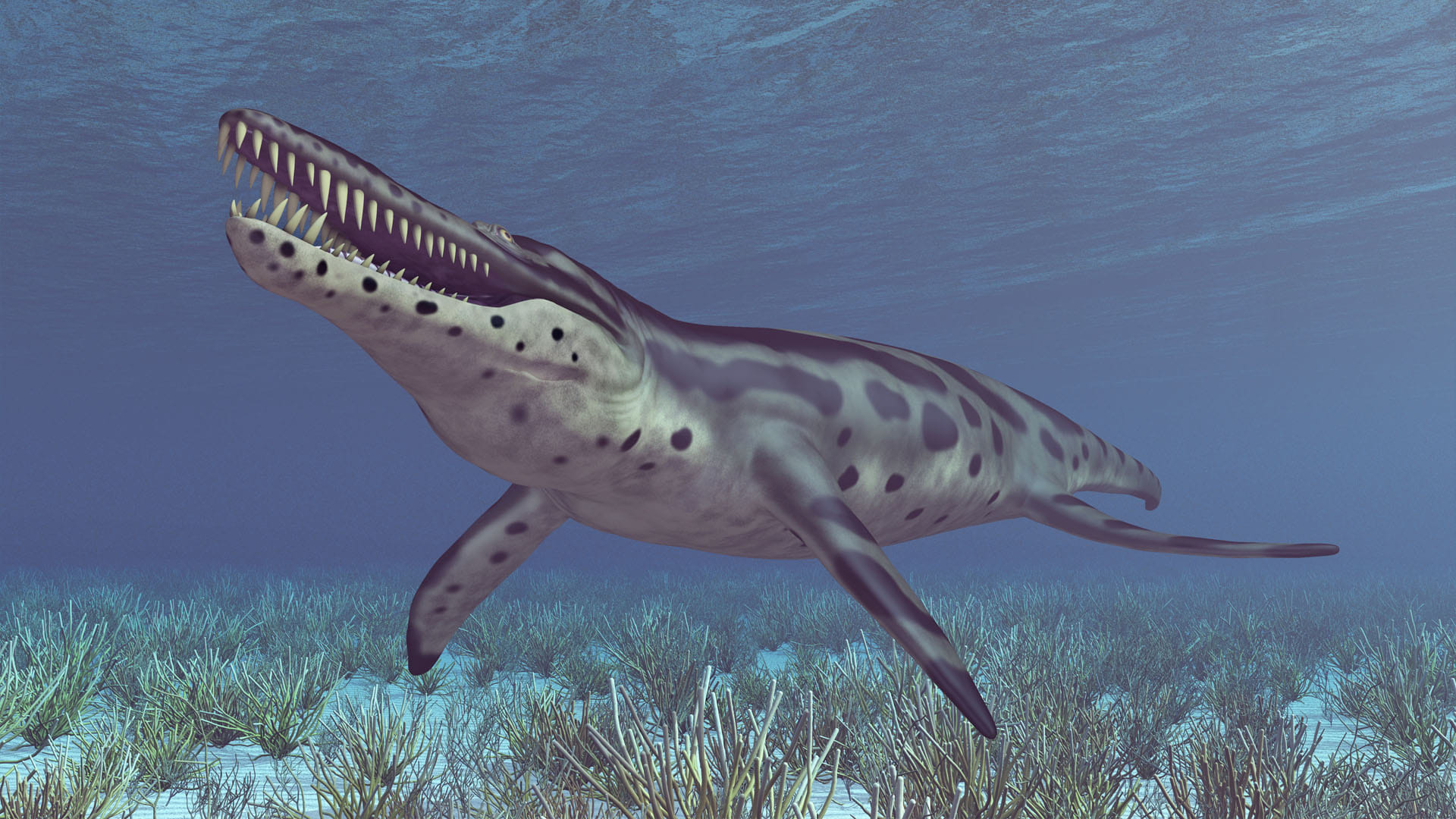 Children found in the stomach of 130 million year old sea monster everyone surprised to see fossils of dinosaur era