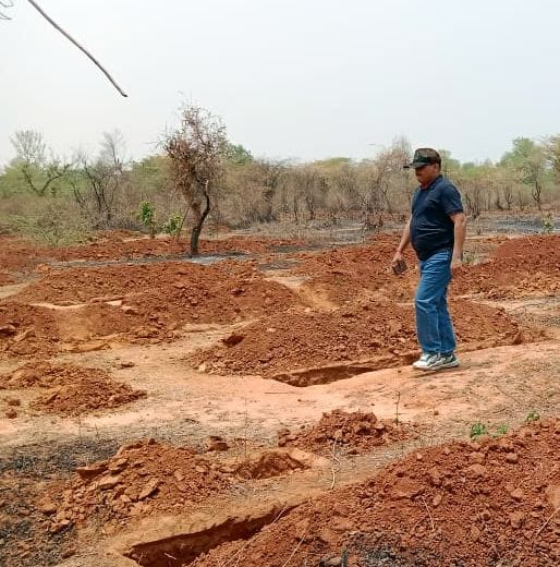 After two days investigation of forest scam, the result cipher