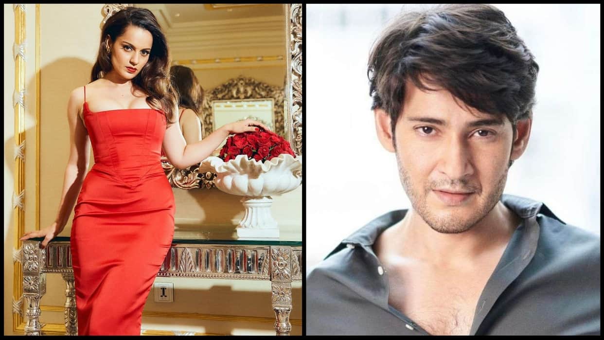 South Cinema VS Bollywood Dhaakad Actress Kangana Ranaut Finally Reacted on Bhasha Vivad