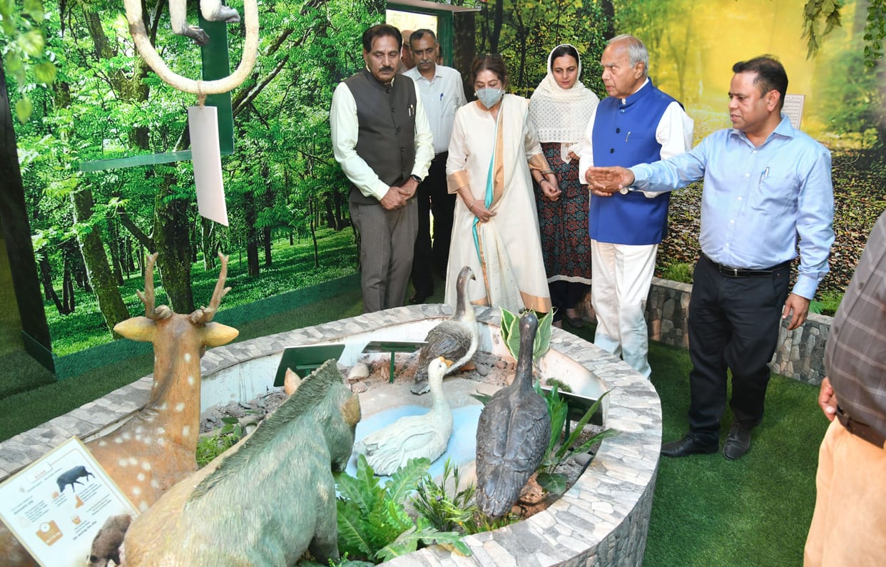 Nature Interpretation Center opened in Kansal Forest, Administrator said - You will get a chance to know wildlife