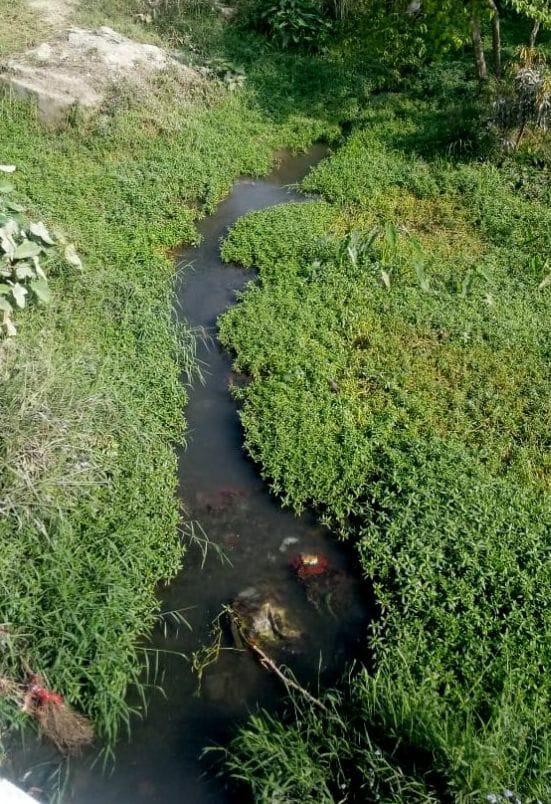 12 thousand water sources have dried up in Uttarakhand