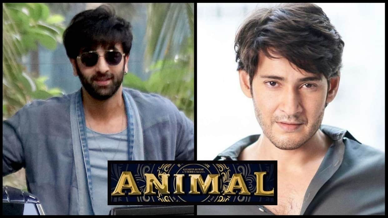 Bollywood producers who offered Mahesh Babu hindi films got rejected sarkaru vari paata day screens box office