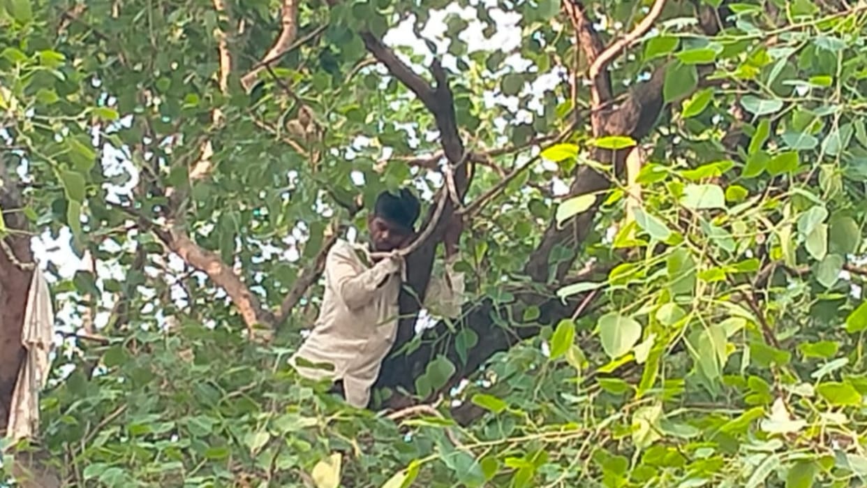 Sitapur: The young man hanged himself by climbing a tree, landed after an hour on the assurance of the officials
