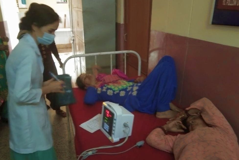 In Banehardi, 12 people were bitten by forest bee, five hospitalized in a state of unconsciousness