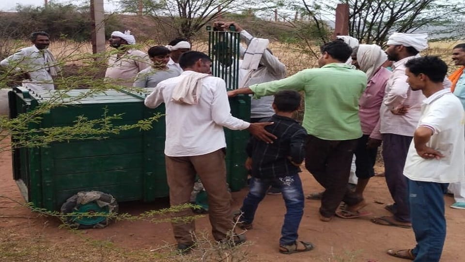 Leopard knock in Jagner Richhoha hills of Aravalli in agra