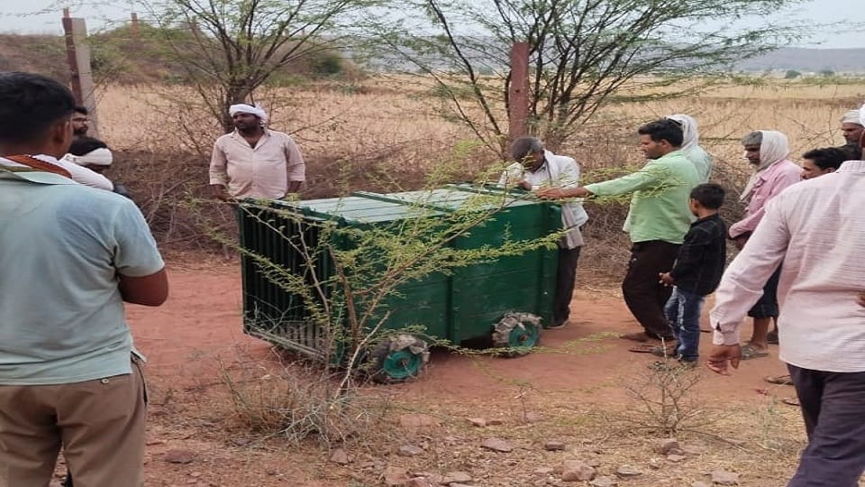 Leopard knock in Jagner Richhoha hills of Aravalli in agra