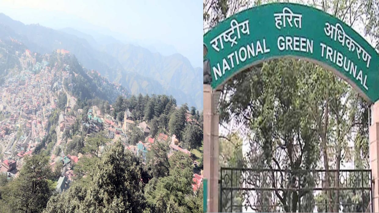 NGT stays implementation of city development plan in Shimla