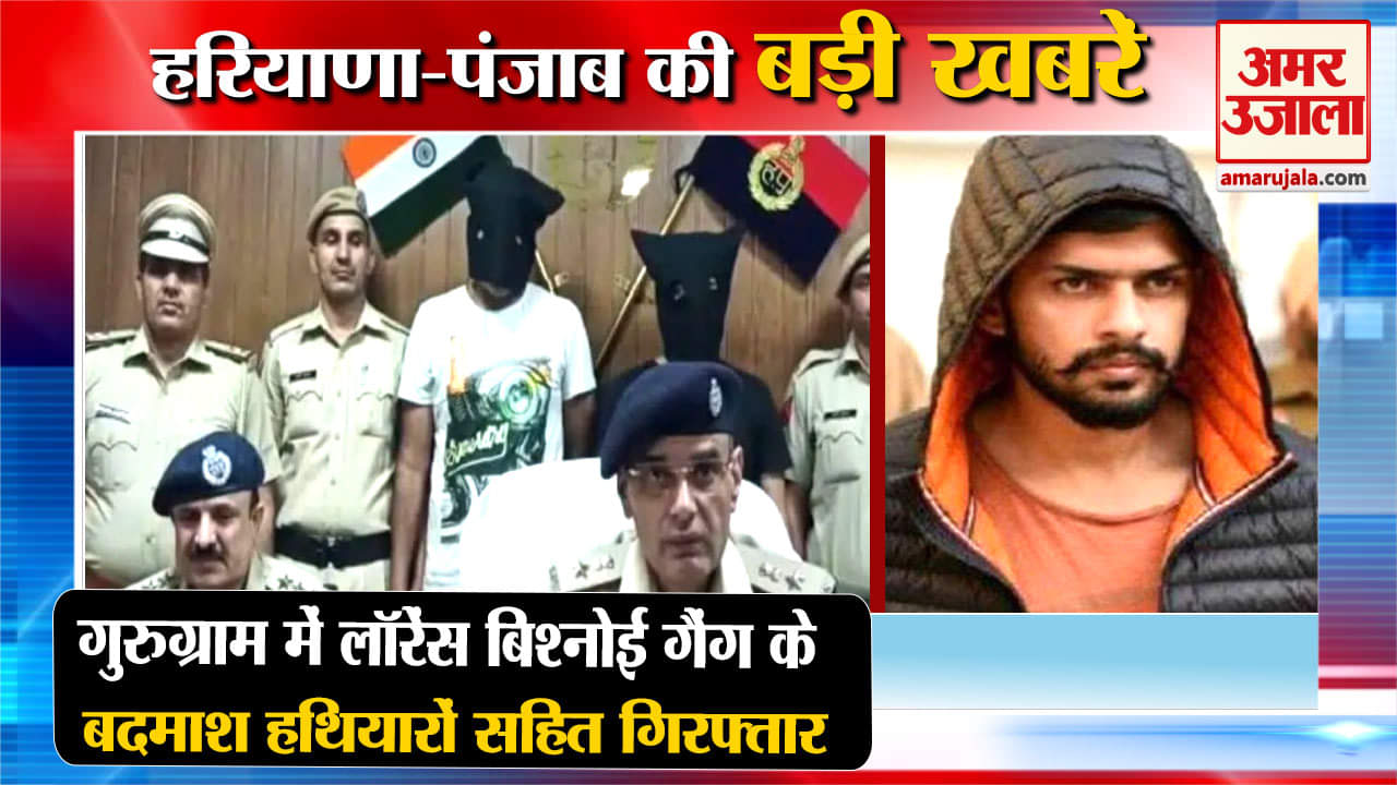 हरियाणा न्यूज