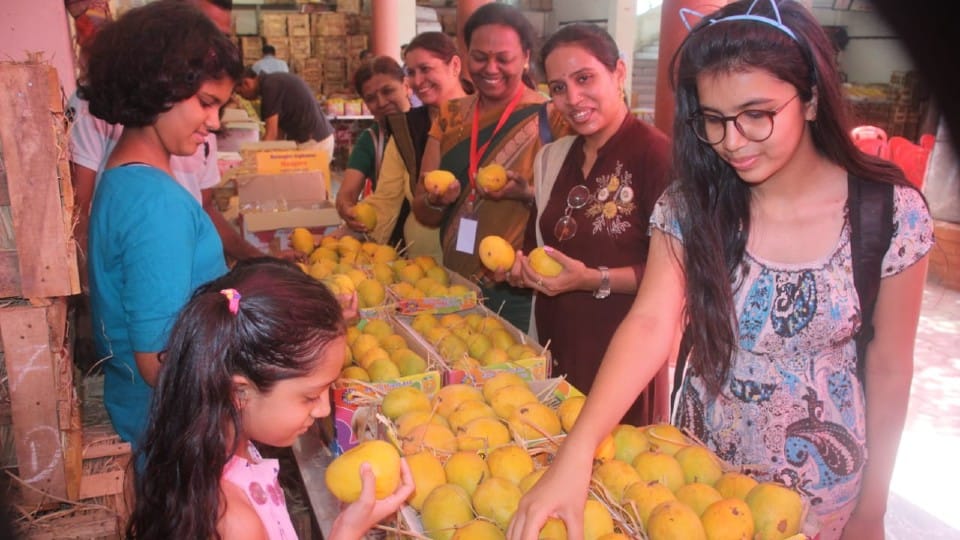 Indore: Mango Jatra started, Indoris enjoyed the sweetness of Hapus Mango, Marathi cuisine and also tasted Chaat-Chowpatty