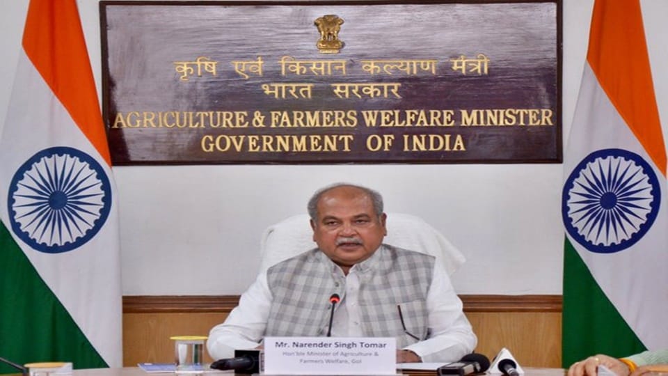 MP News: Narendra Singh Tomar thanks PM for bringing cheetahs in MP