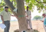 हेलीपैड निर्माण के दौरान काटे जाने वाले पेड़ों का मूल्यांकन करती राजस्व व वन टीम। संवाद