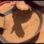 गेहूं के कंसाइनमेंट को लेकर विवाद।