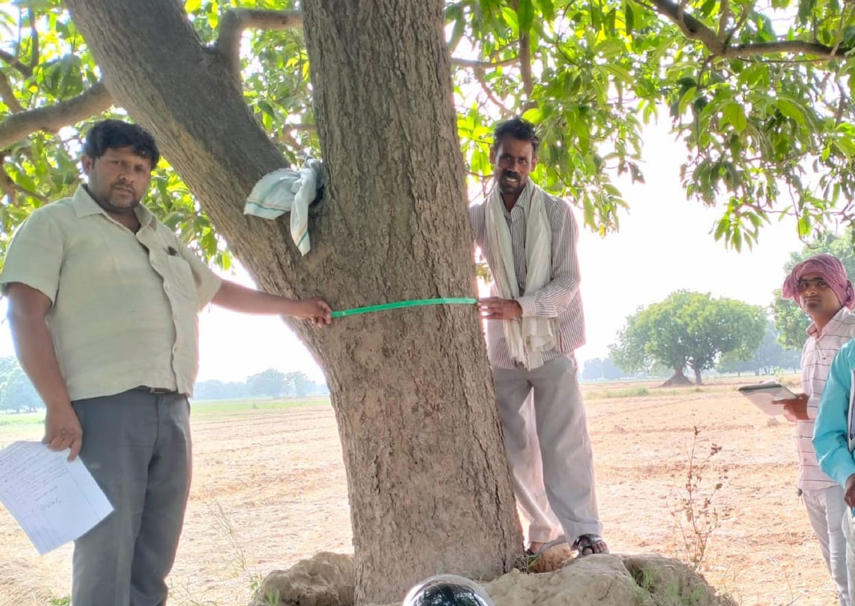 Kanpur Dehat : 14 trees can be cut to receive the President and Prime Minister in Paraunkh