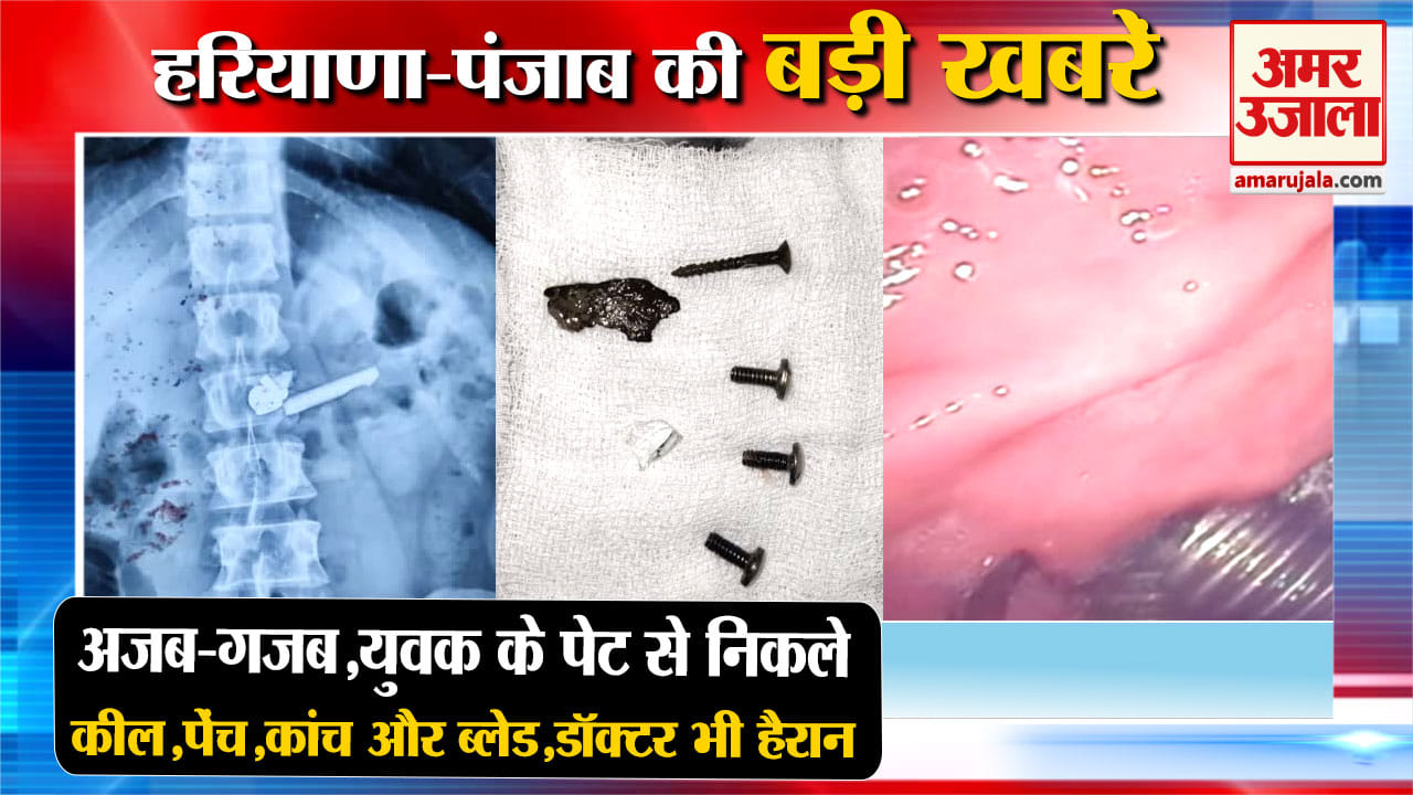 हरियाणा न्यूज