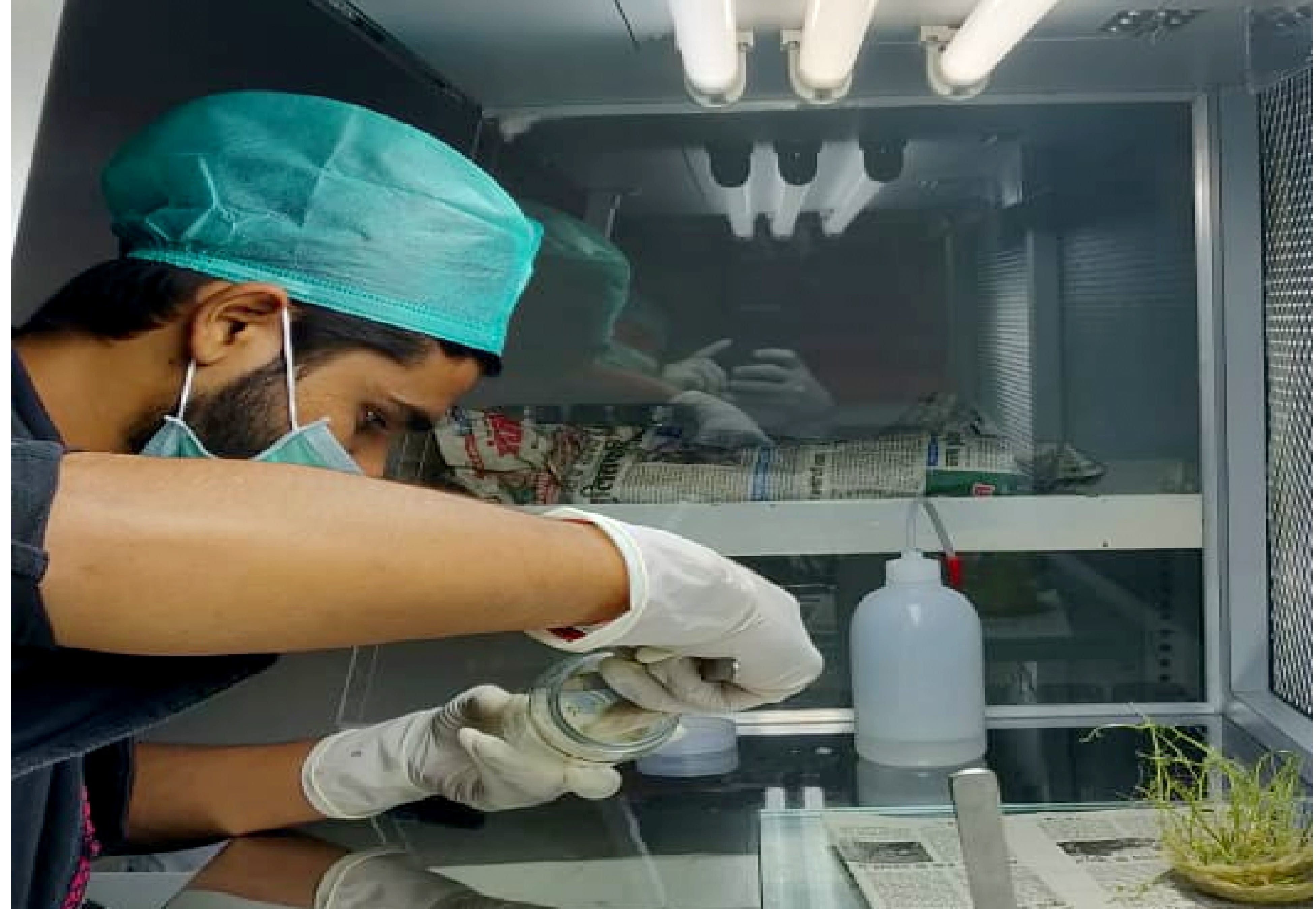 Profitable Agriculture Business, Etawah's 21-year-old Shivam is earning one crore every year from potatoes
