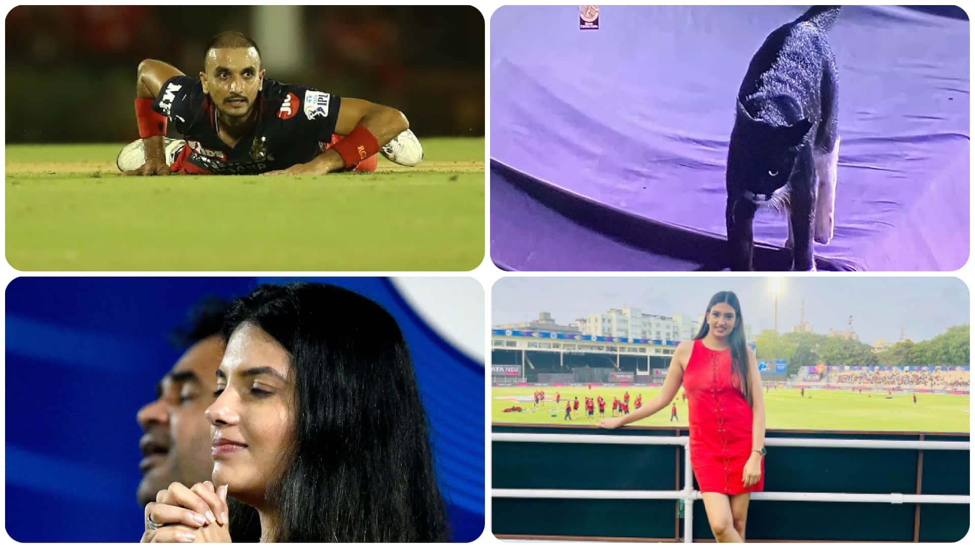 IPL 2022 RCB vs PBKS Match 60 Highlights in Hindi Harshal patel bowling to ishani chahar prayer
