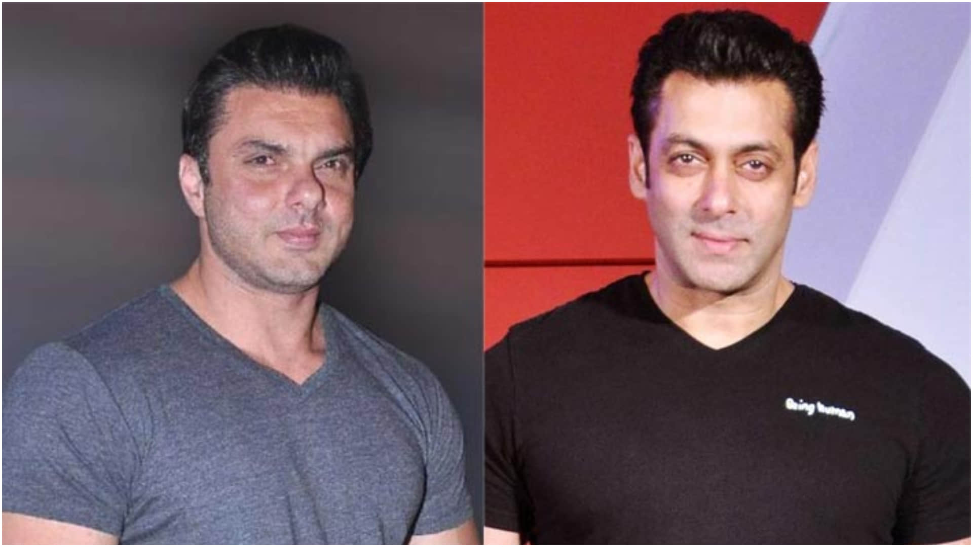 After 12 years Salman khan film Sher Khan update came out director Sohail khan revealed details