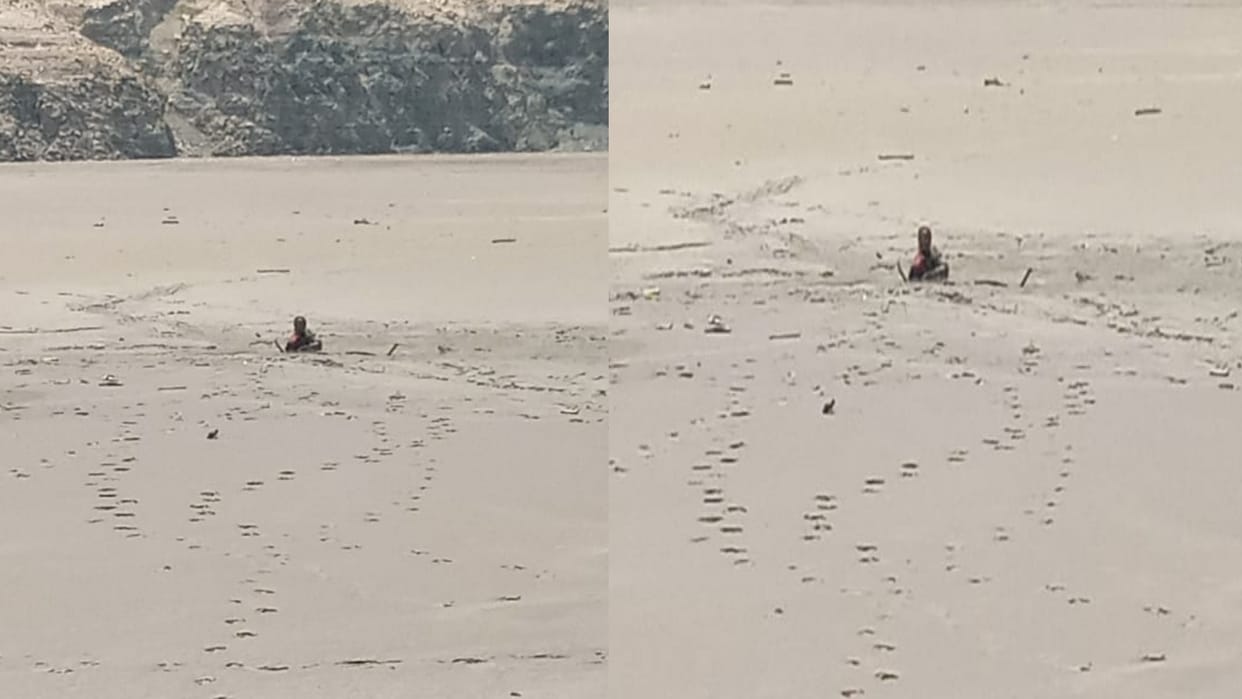Villagers trapped in swamp, SDRF team reached the spot, CM Office informed for helicopter