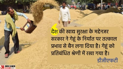गेहूं के निर्यात पर प्रतिबंध। (फाइल)