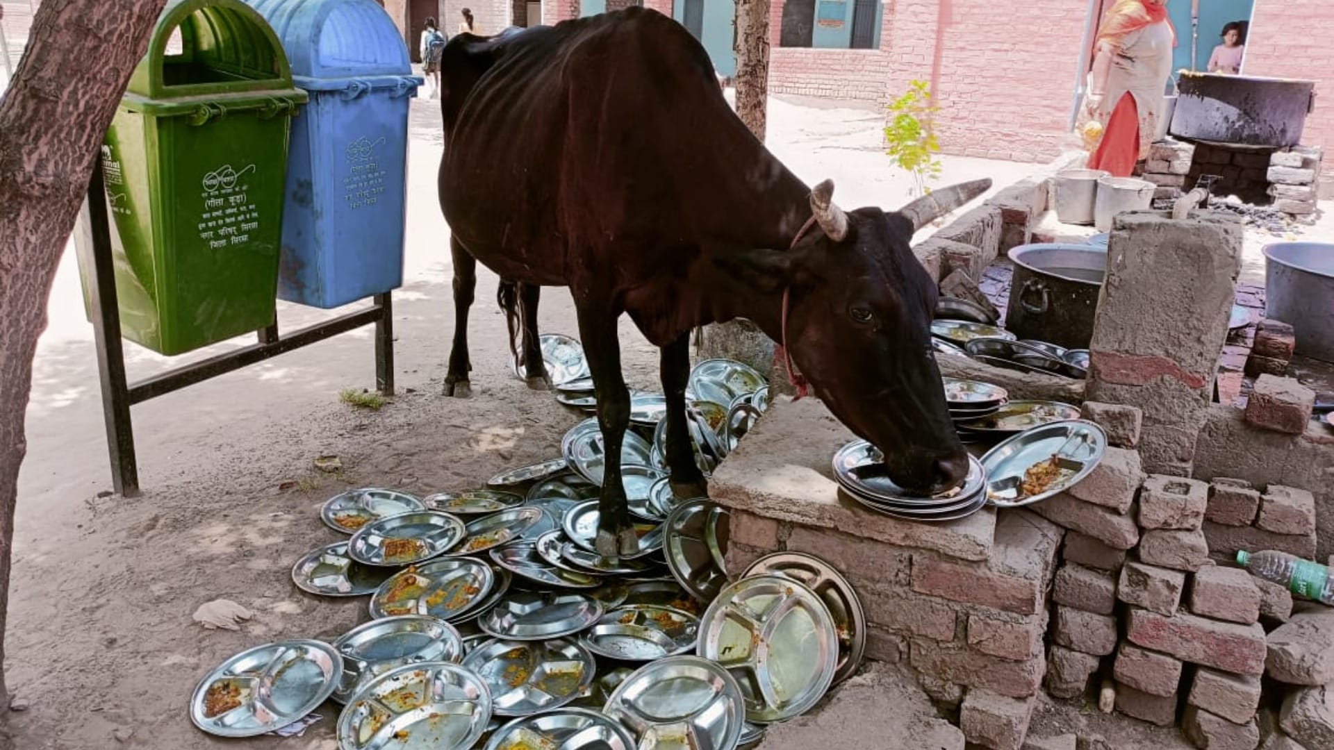 Children are not getting full mid day meal in Sirsa of Haryana