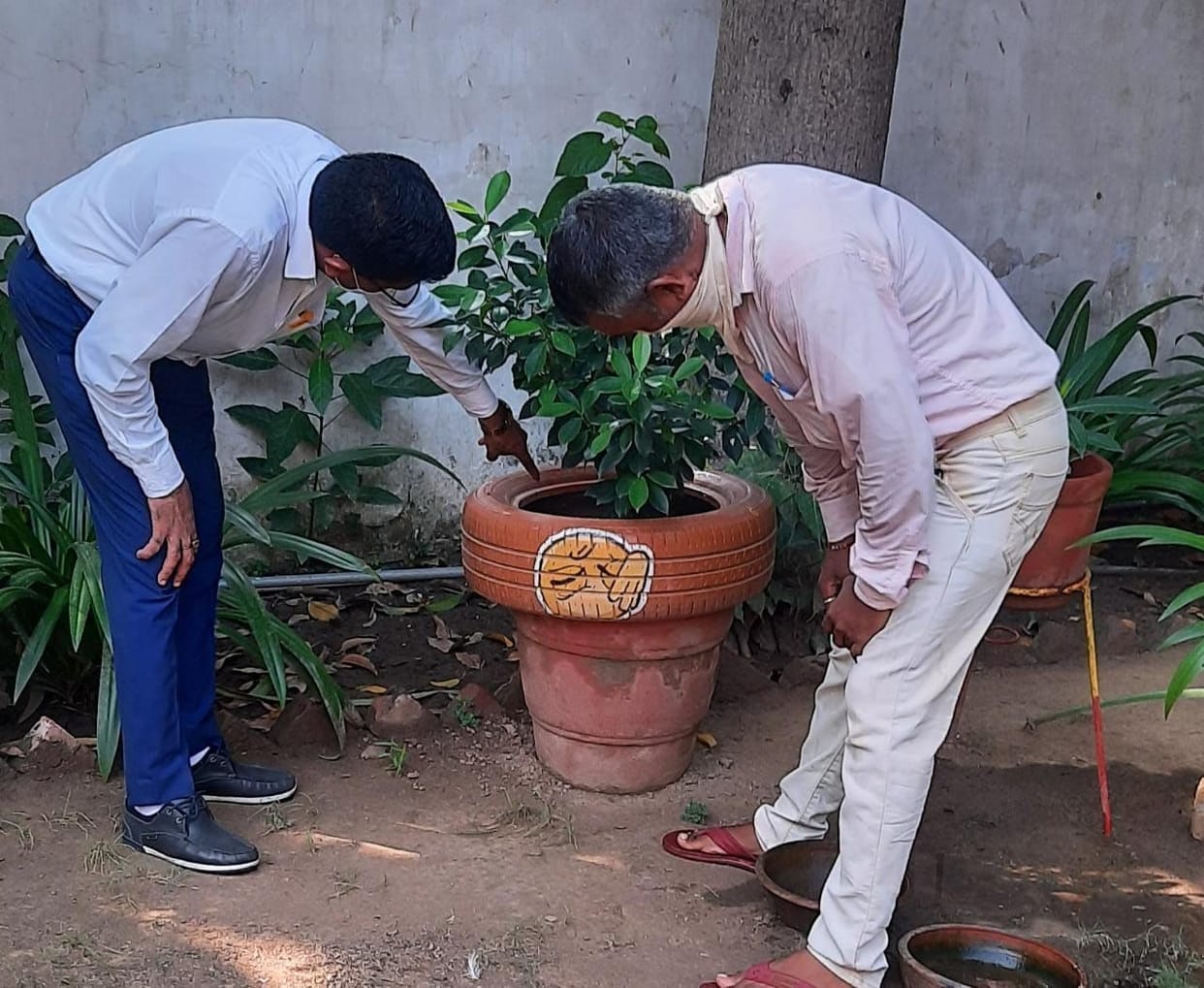Special on National Dengue Day: