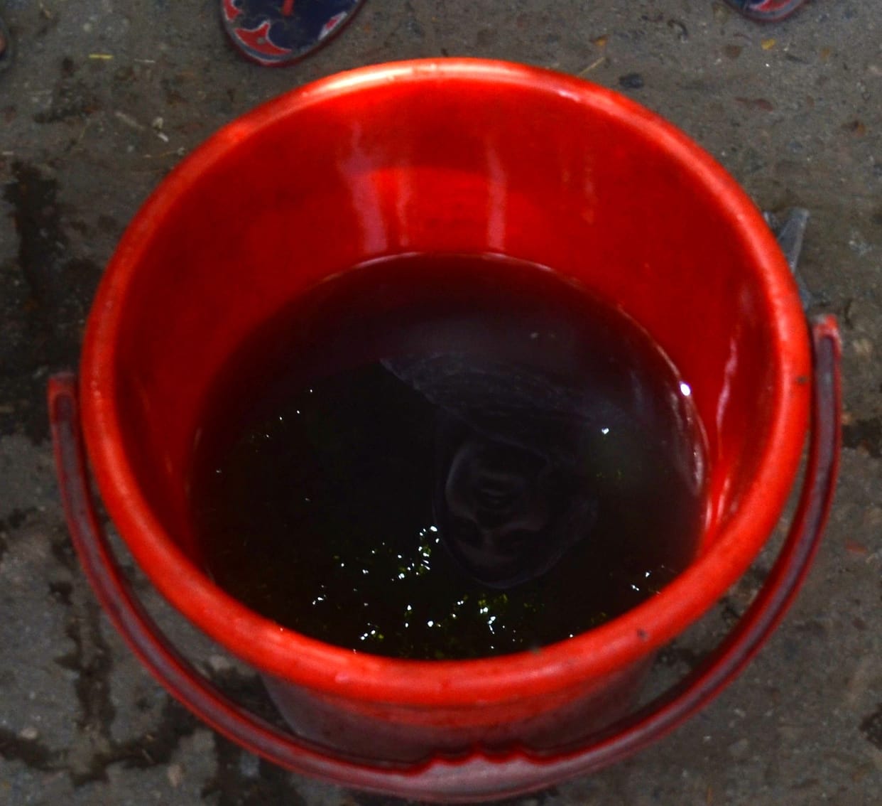 Aligarh: For a month, sometimes the water comes during the day and sometimes at night.