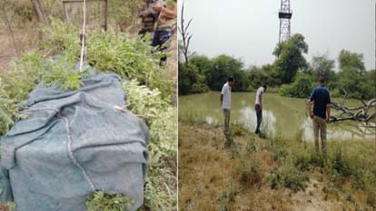 मेरठ न्यूज, यूपी न्यूज, सिटी न्यूज, लेटेस्ट न्यूज,