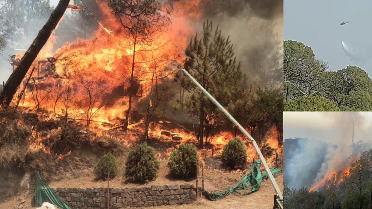 Massive forest fire breaks out in Kasauli and Sanawar solan himachal pradesh