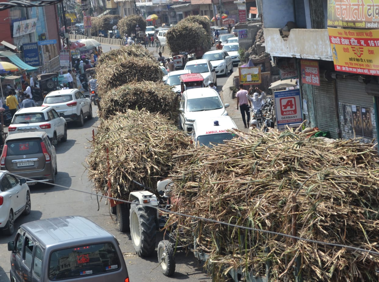 The city struggled with jam for the whole day due to sugarcane vehicles