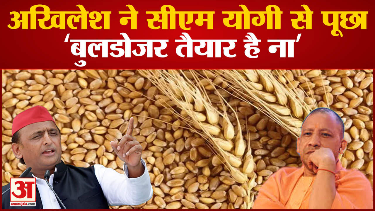 यूपी न्यूज