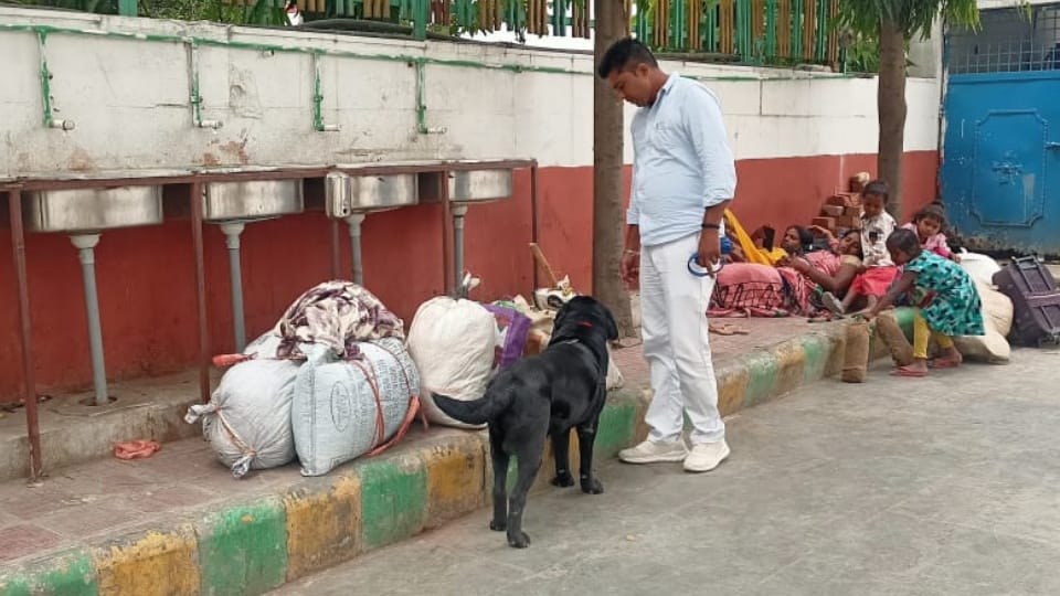 team of Bomb Squad from Mumbai conducted investigation at Panipat Railway Station