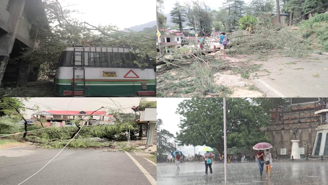 himachal weather update: Rain, hailstorm in Himachal's capital Shimla, relief from heat
