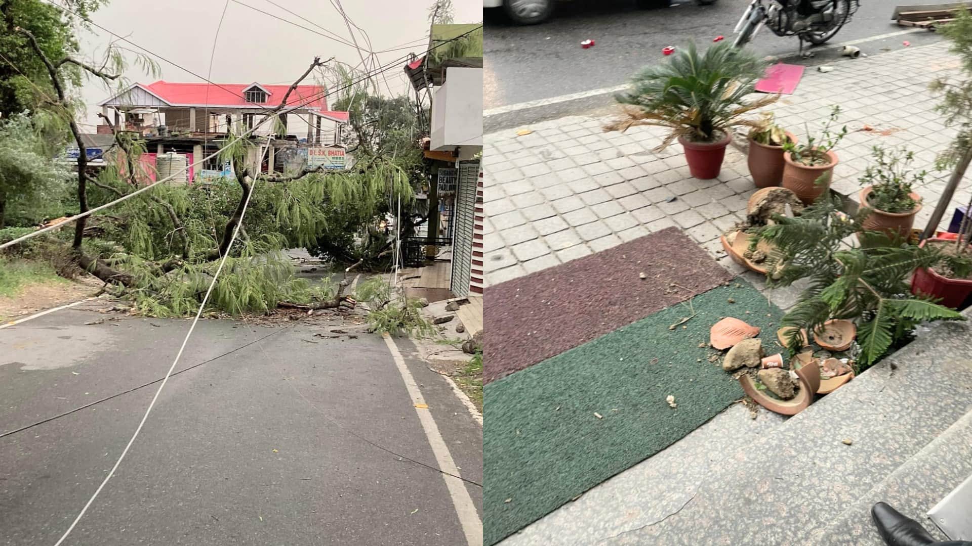 himachal weather update: Rain, hailstorm in Himachal's capital Shimla, relief from heat