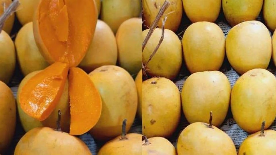 Banarasi mango will be sold under the brand name in the international market
