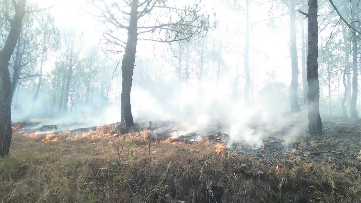Forest Fire Again In Bageshwar
