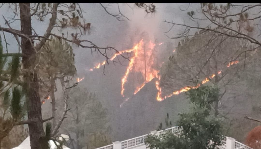 Forest burning for two days between New Tehri-Chamba