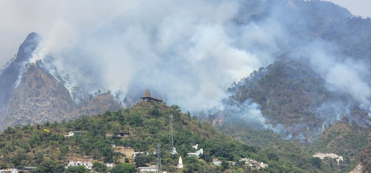 Heavy damage to forest property due to fire in Surajkund area