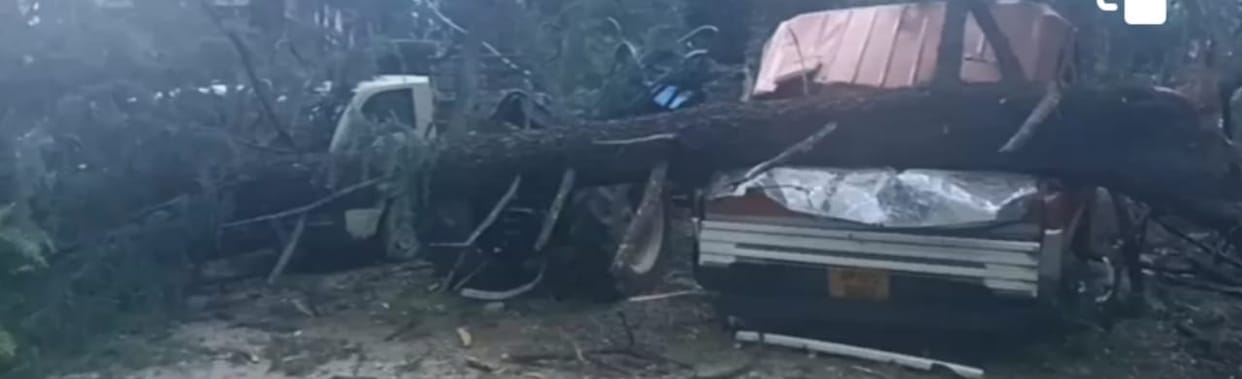 Woman dies after being buried under a tree, four vehicles buried