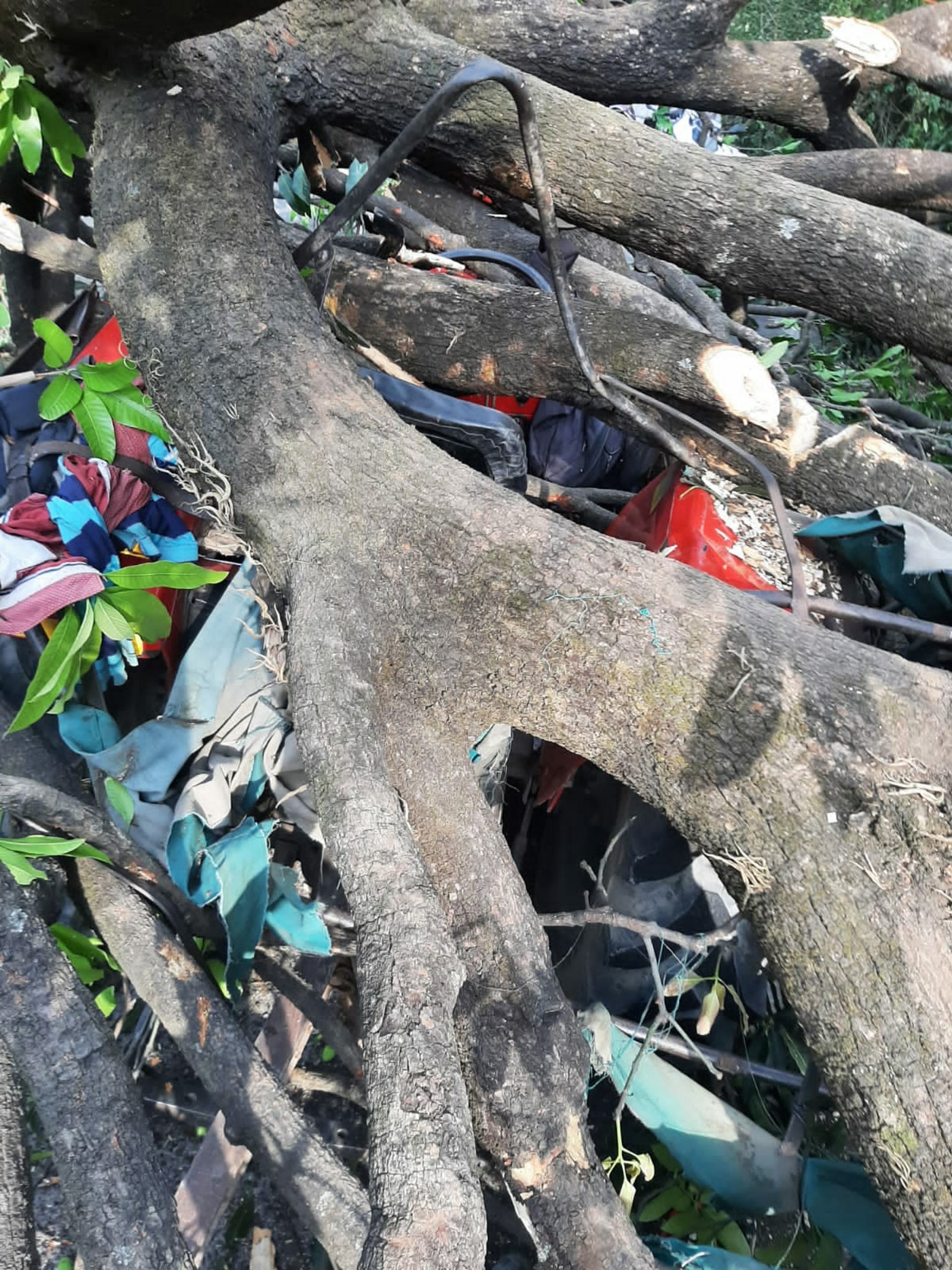 Accident due to storm,Tree fell on tractor in storm, seven people injured, two serious,  Police and SDRF evacuated injured