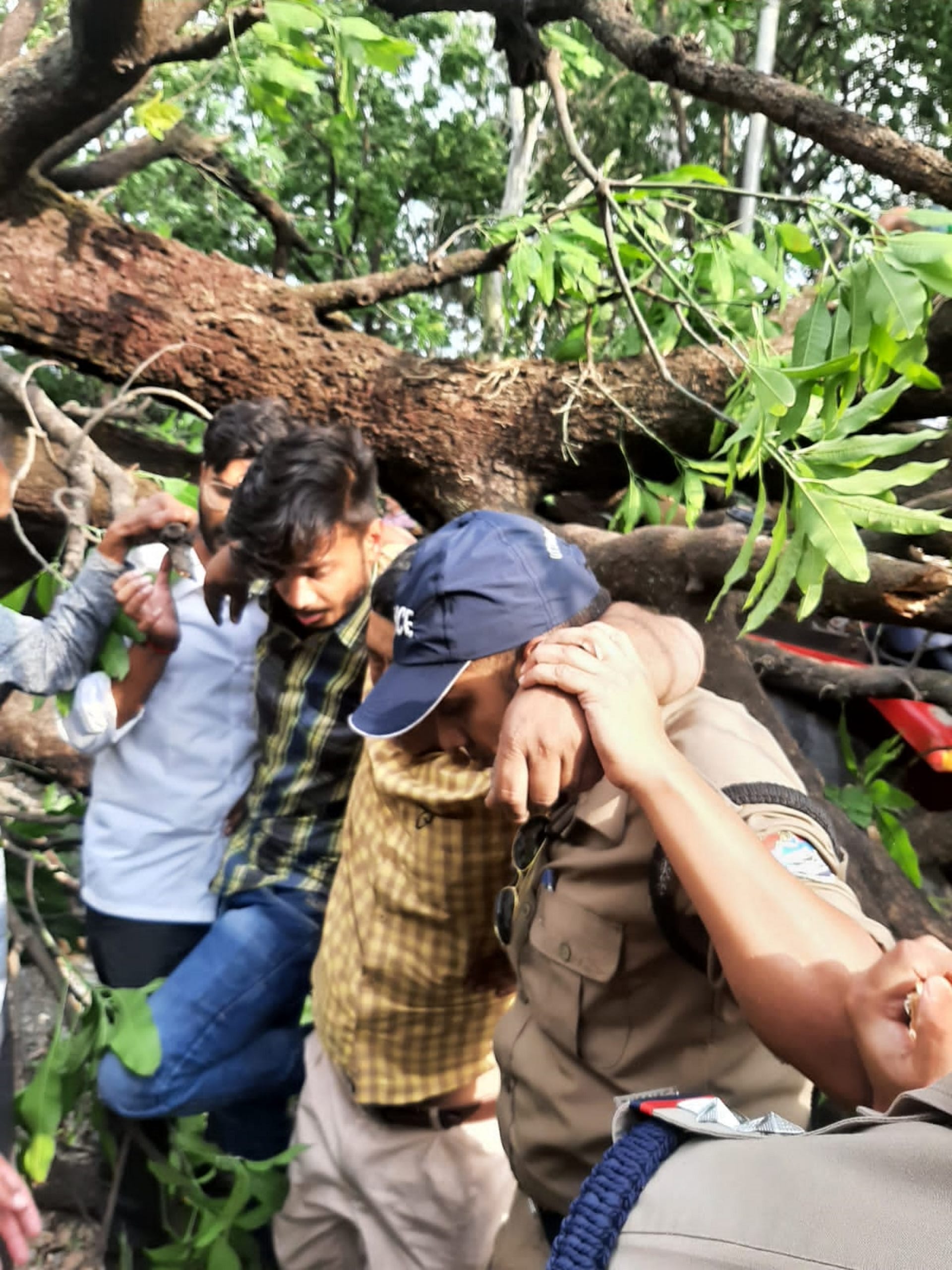 Accident due to storm,Tree fell on tractor in storm, seven people injured, two serious,  Police and SDRF evacuated injured