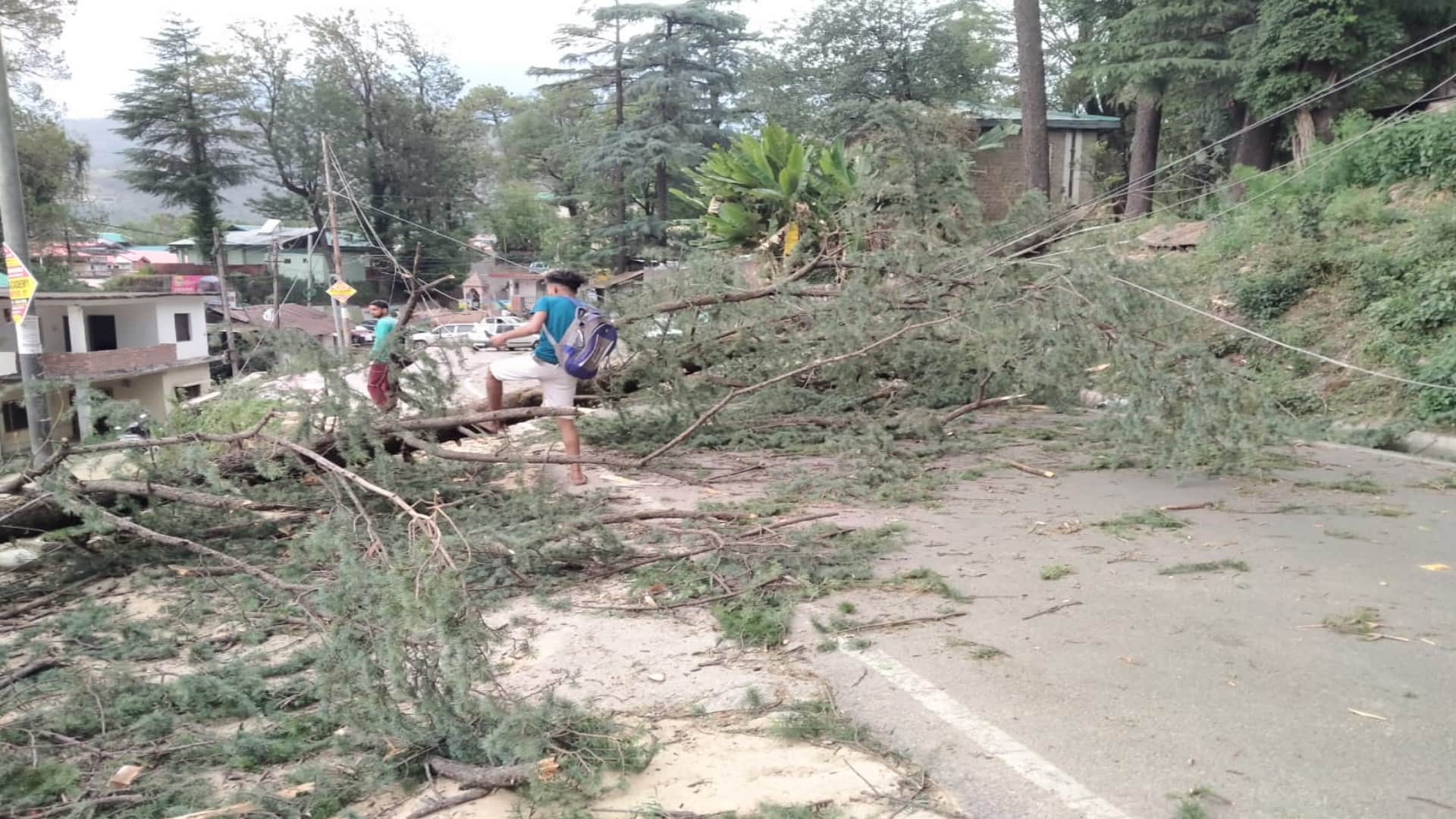 himachal weather update: Rain, hailstorm in Himachal's capital Shimla, relief from heat