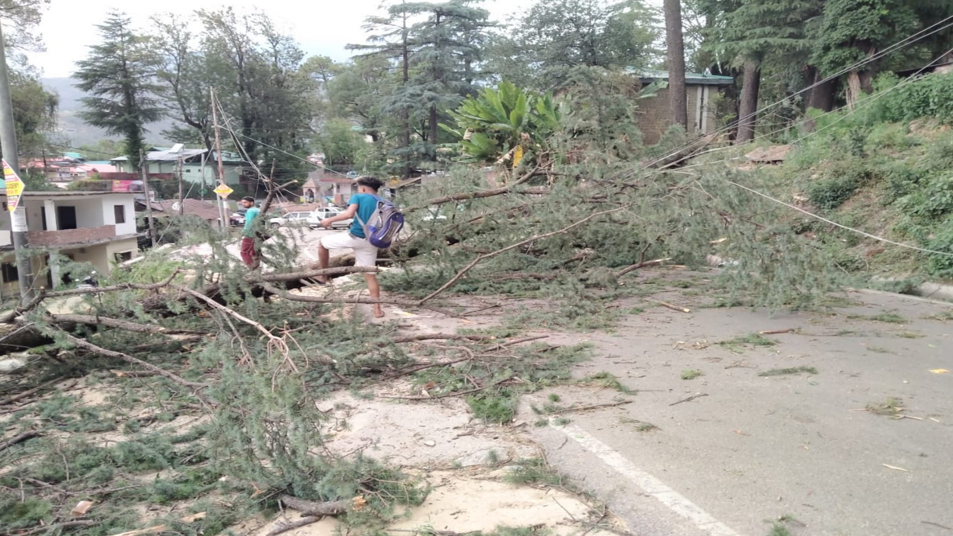 himachal weather update: Rain, hailstorm in Himachal's capital Shimla, relief from heat