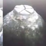 वायरल वीडियो की स्क्रीनशॉट