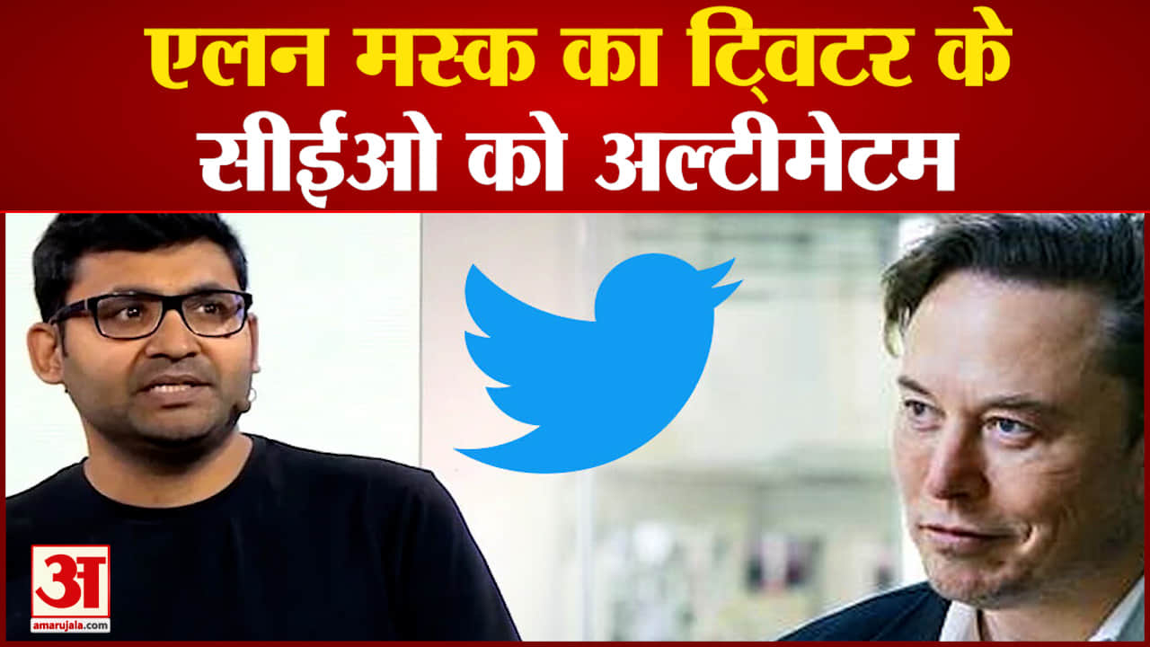 एलन मस्क