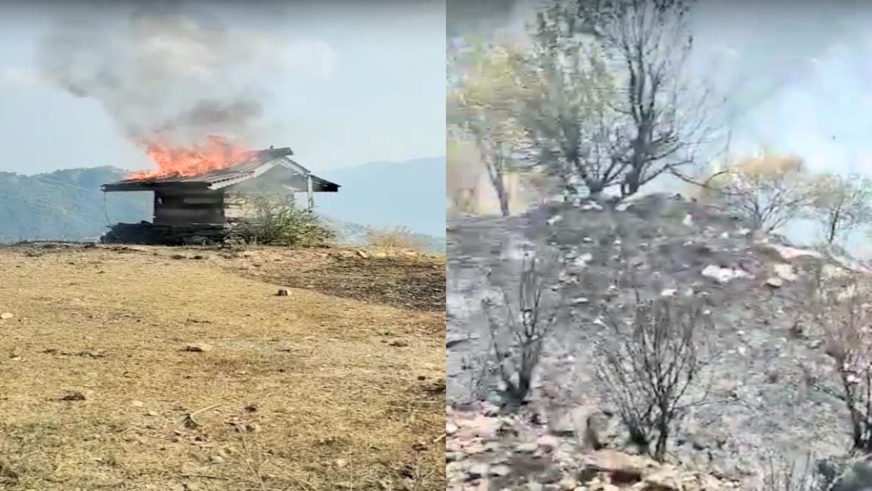Fire chopal: 120 years old temple and 800 apple saplings burnt to ashes due to fire