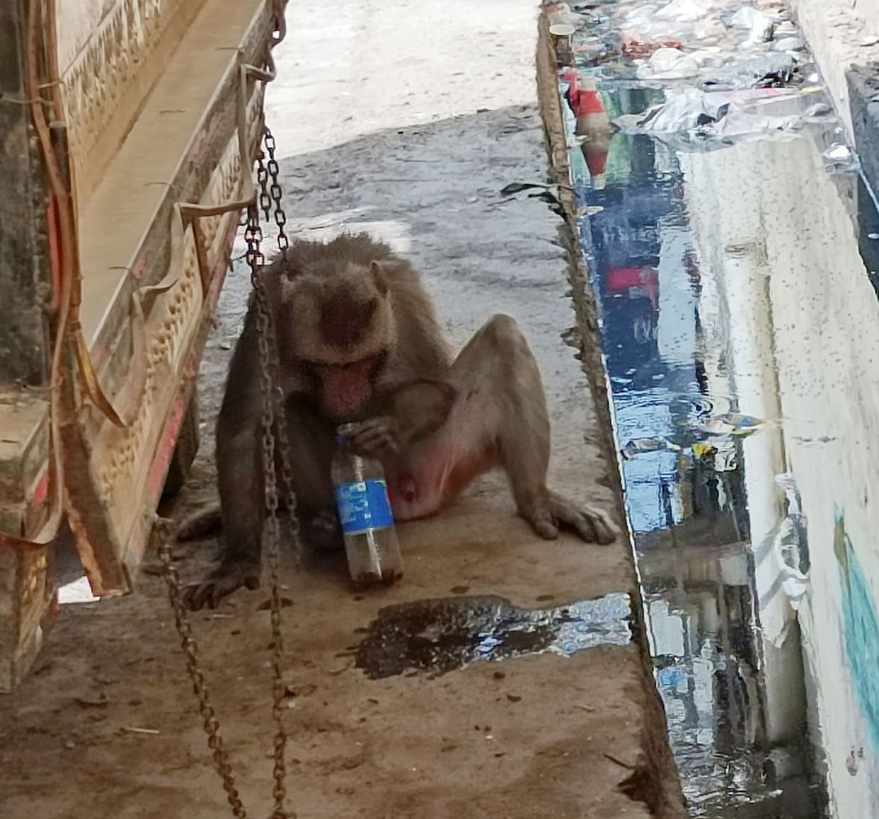 Bad condition due to scorching heat and power cut