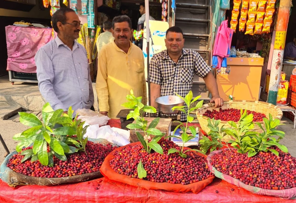 More Demand of Kafal in Lohaghat