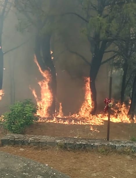 Due to lack of rain, the fire in the forests of the Lanj area is uncontrollable