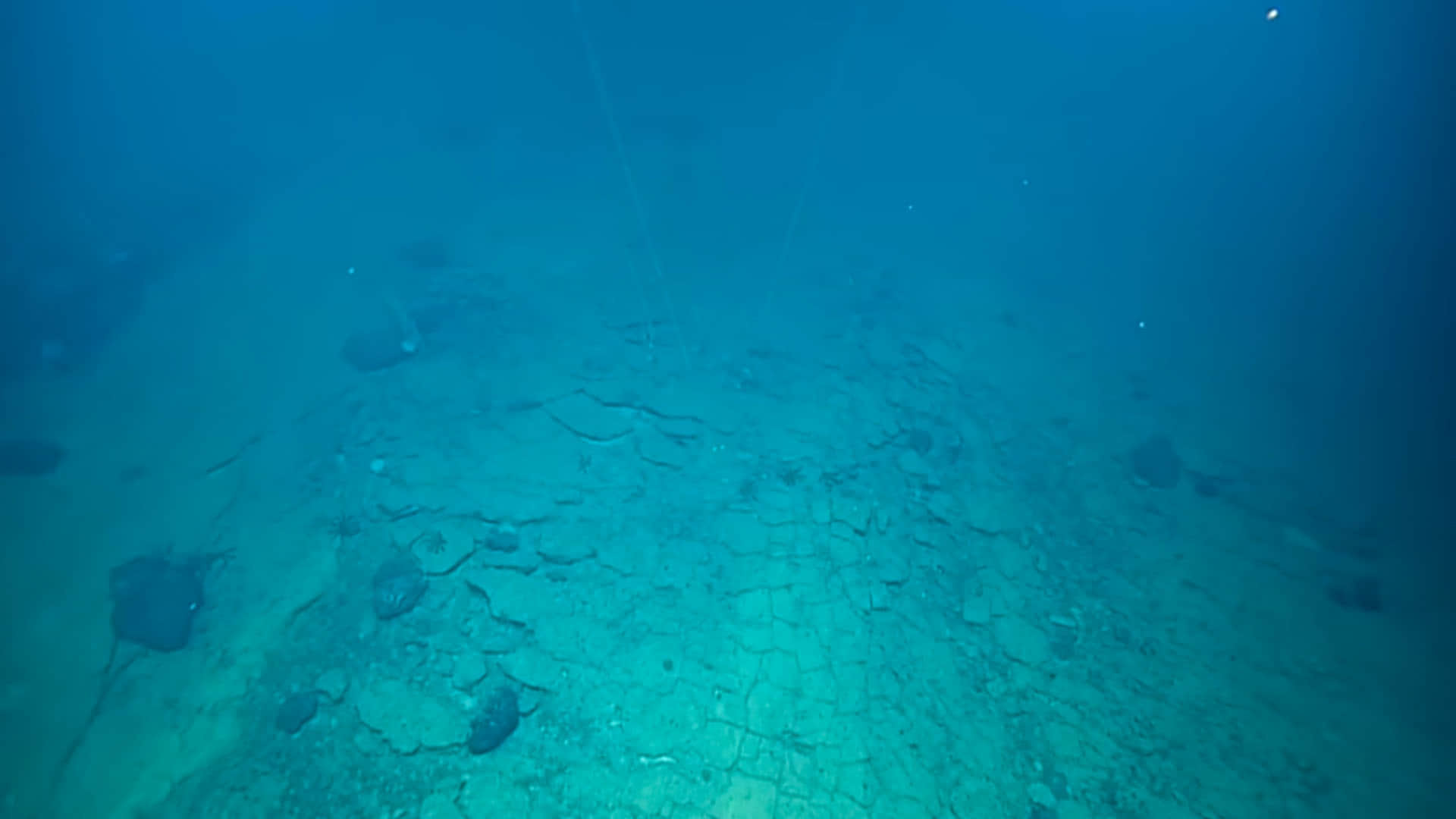 Mysterious Road scientists found another world seen inside the ocean