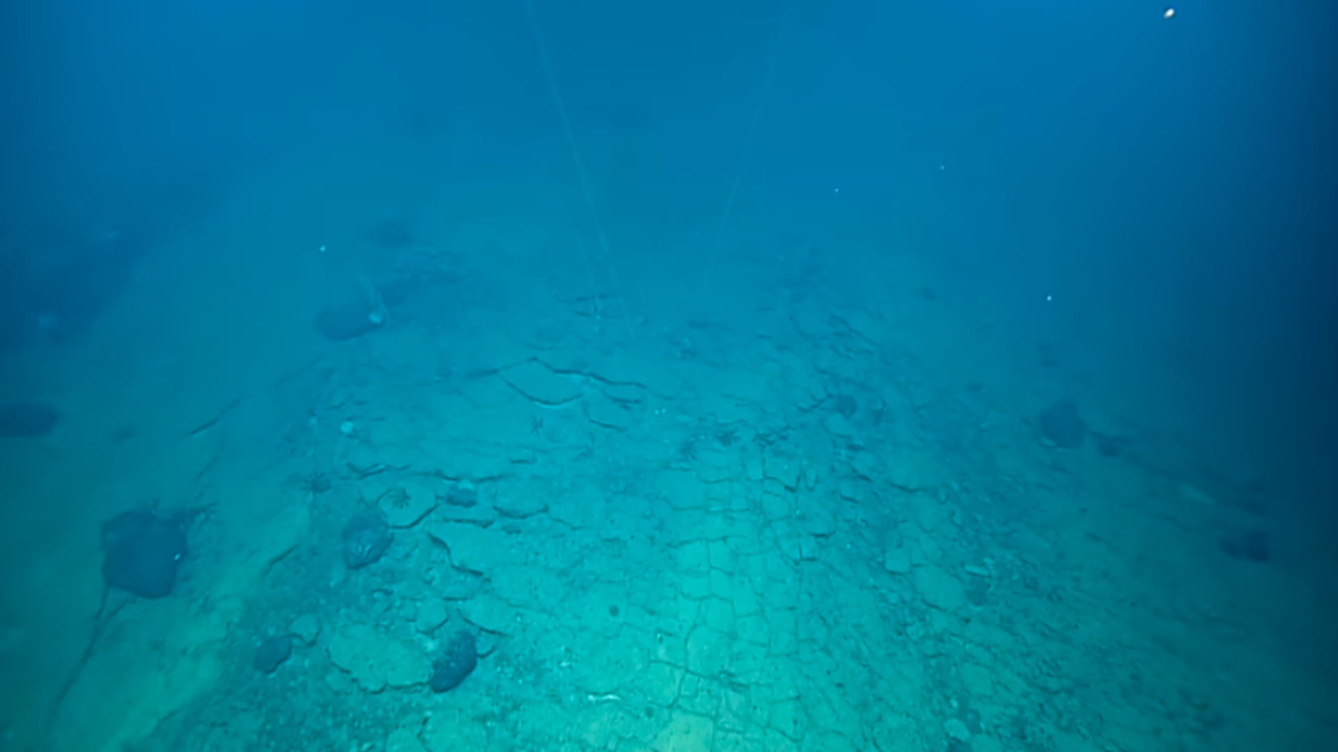 Mysterious Road scientists found another world seen inside the ocean